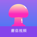 APP应用